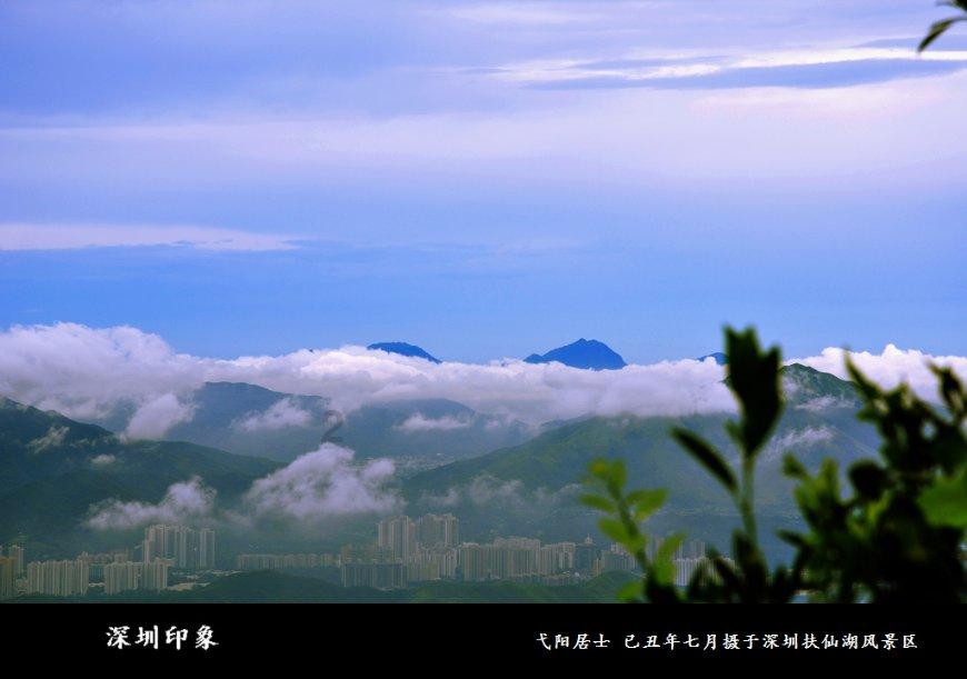 拯救毛茸茸男人