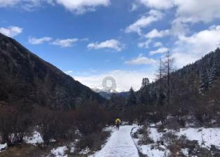 宫新鸣到最后都没弄明白，导致他彻底被孙青山放弃的原因