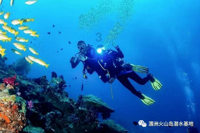 逃离亚洲丛林