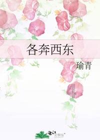 单身狗大作战