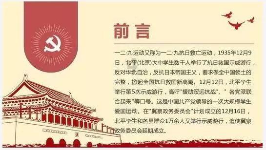 疯狂的小猫