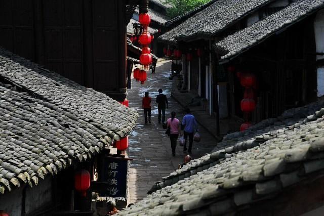 动物帮帮忙保卫家园